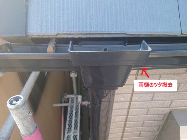 20250224　西宮市Ｔ様　ツタ撤去施工写真